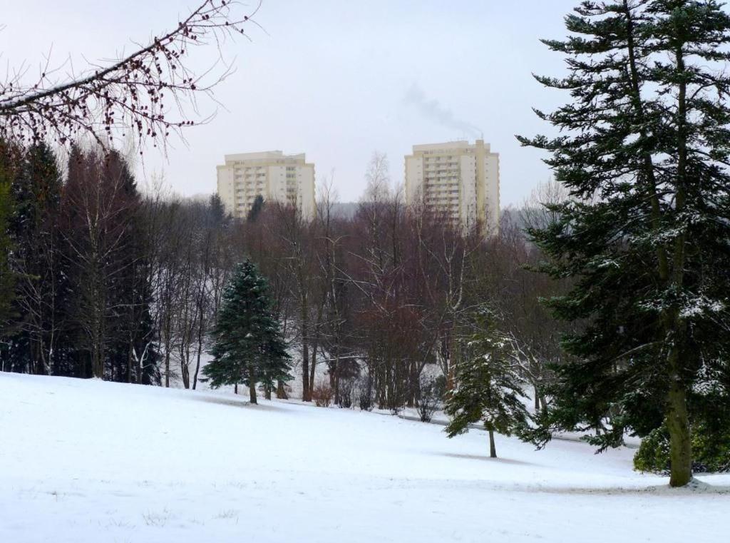 Ferienapartment Mit Schwimmbad Und Bergblick Braunlage Buitenkant foto