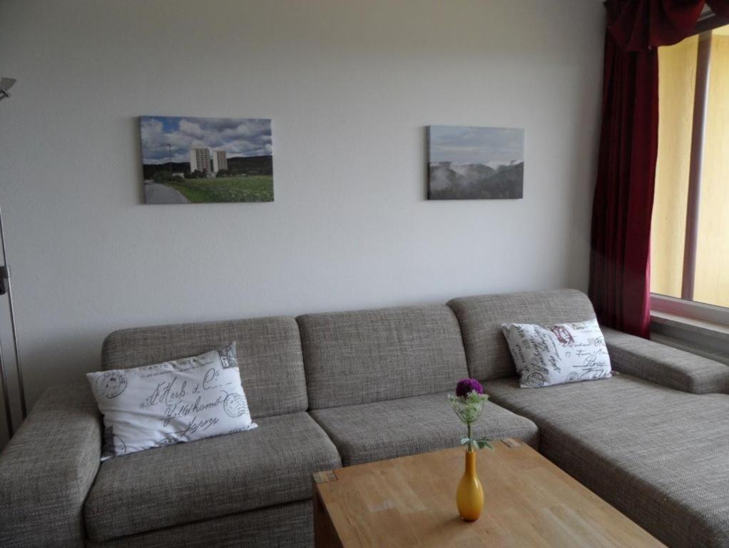 Ferienapartment Mit Schwimmbad Und Bergblick Braunlage Buitenkant foto